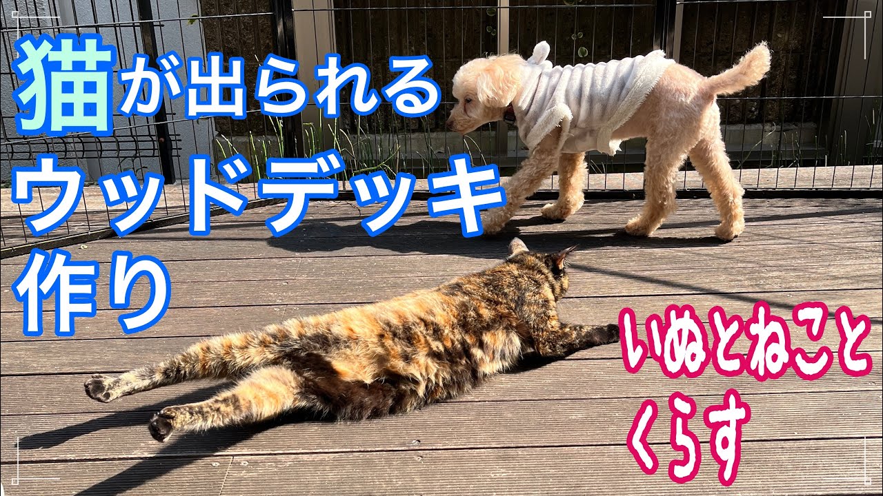 🐈キャットテラス🐈ウッドデッキで日向ぼっこする猫【猫が出られるウッドデッキにする】 YouTube