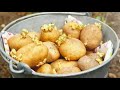 🥔" День, когда сажали картошку "/ рассказ