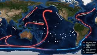 🌊 “Why Is Ocean Water SALTY The Answer Will Surprise You!”#2026 #salinity #seawater 