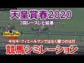 天皇賞春が待ち遠しいので、3回シミレーションした結果・・・【天皇賞春2020】