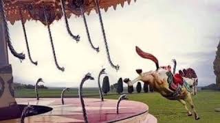 Anne Ben Anarşist Oldum Akşam Eve Gelmicem. Şiir& Yorumali Ahuramazda