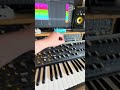 Moog bass. #moog #synth #bassmodulators #synthesizer #ableton