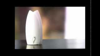 Laura Sordi- Locución Glade Sense And Spray- Diciembre 2011