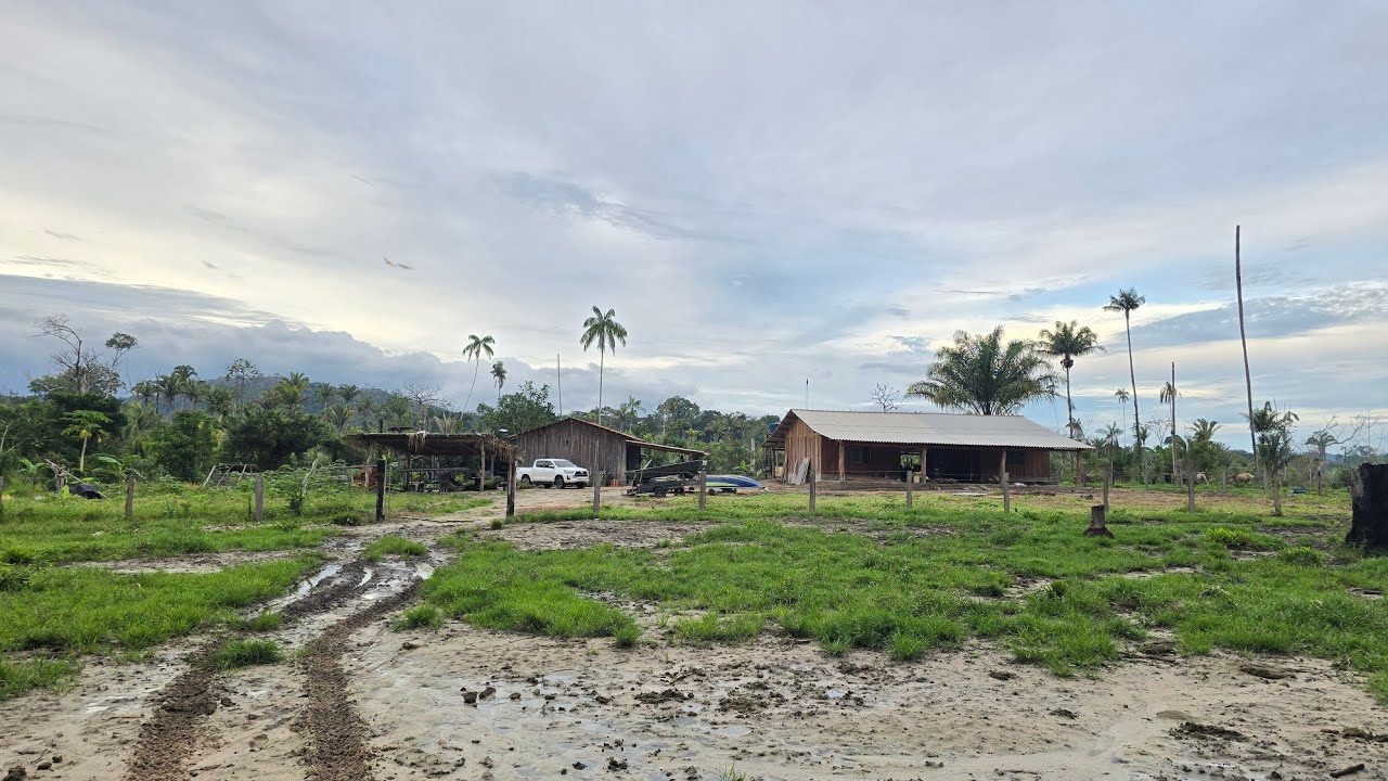Capinando a horta da Toca do Sapo, e preparei o almoço.