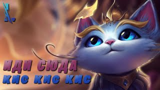 Пытаюсь поймать кошку | Юми в Wild Rift | League of Legends Wild Rift СТРИМ