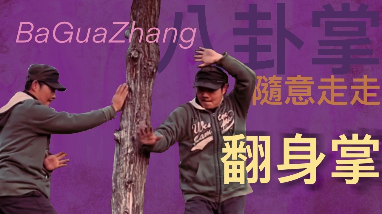 八卦掌。翻身掌。隨意走走。BaGuaZhang