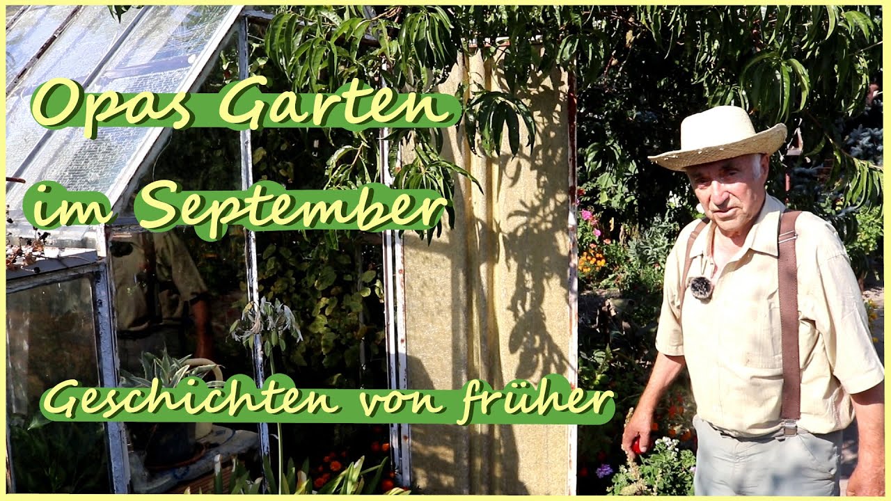 Opas Garten im September Geschichten von früher YouTube