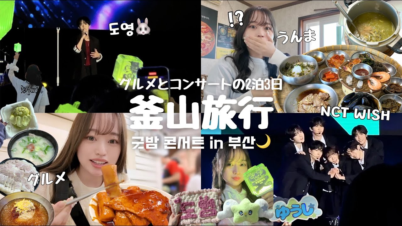 【NCTzen Vlog】2泊3日の釜山旅行🇰🇷  / 海雲台海水浴場でコンサート🌊 / もちろんグルメも満喫🐟 / ドヨンさんとNCT WISHが出演だなんて行くしかない!!💚