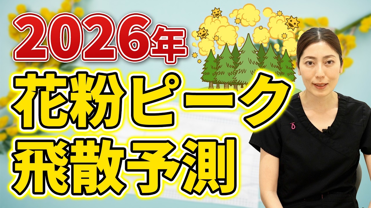 【2026年花粉症対策】飛散ピークはいつ？アレルギー専門医が教える今年の花粉症事情！