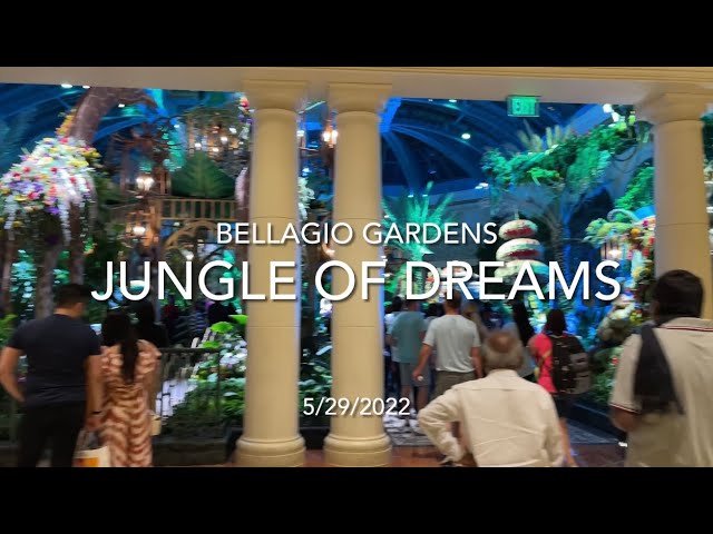 Jungle of Dreams Theme at the BELLAGIO class=