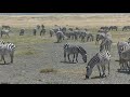 VIDEO SAFARI TANZANIA 2018 Version corta