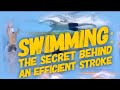 Swimming: The secret behind an efficient stroke