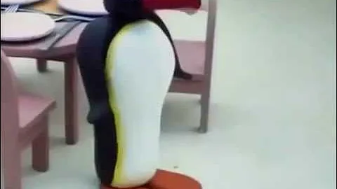 Noot Noot Compilation - Complete