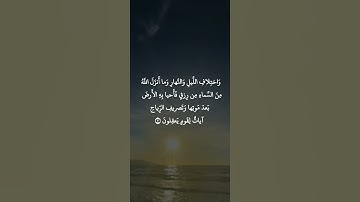 سورة الجاثية: القارئ سعد الغامدي