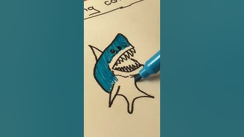how to draw a shark