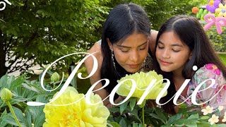 PLANT A PEONY FOR YOUR CHILDREN💕
