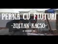 Zoltan Kacso - Perna cu fluturi