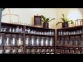 Zero-waste store in the Philippines || Humble Market