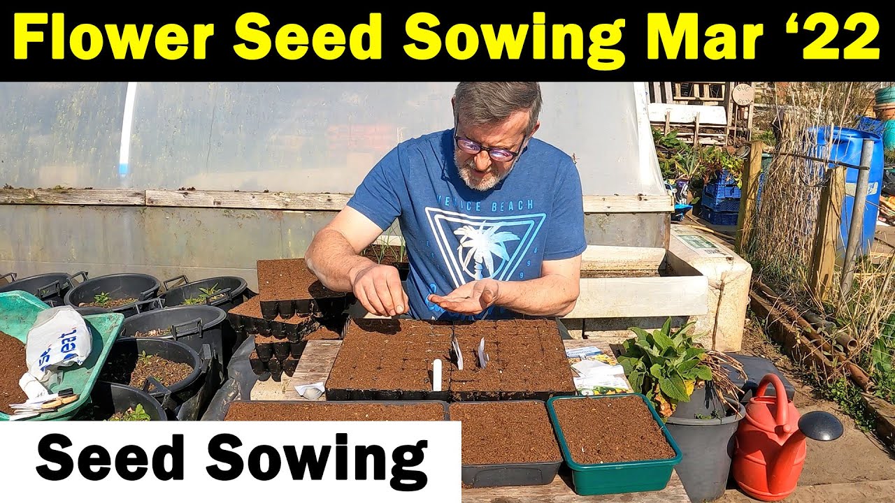 Flower Seeds to Sow in March Seed Sowing in March Flower Seed Sowing Green Side Up YouTube