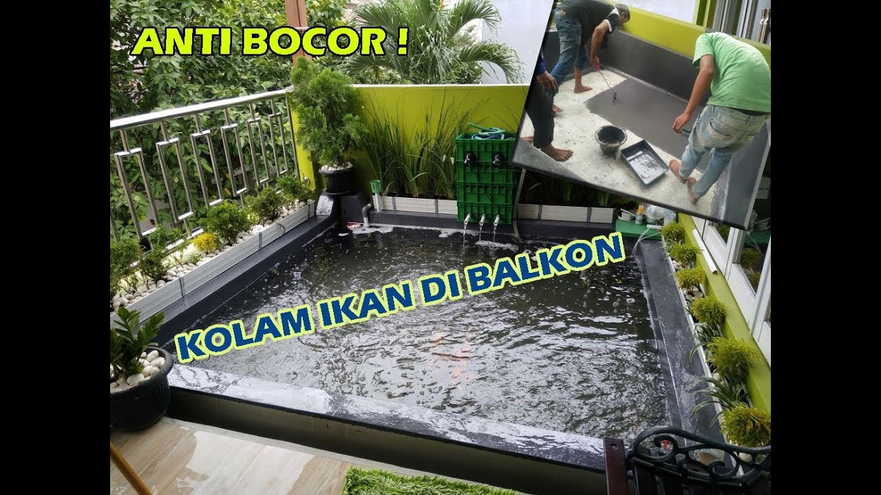 Kolam Ikan Koi Minimalis Di Balkon YouTube