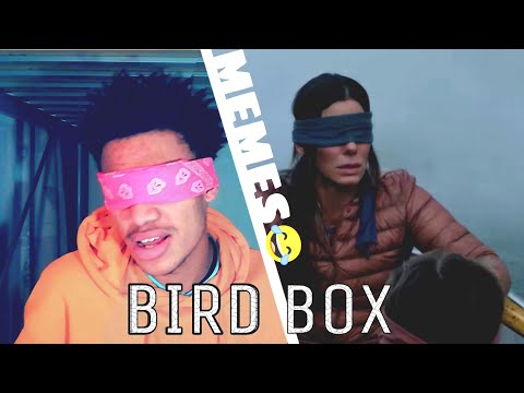 bird-box-memes