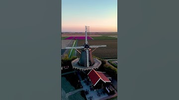 Discover the beauty of the Netherlands 🇳🇱