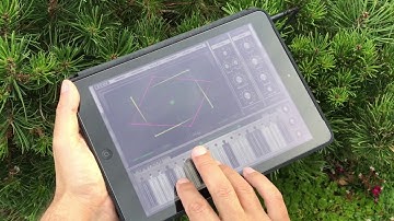 Moog Animoog : Moog and Nature