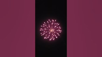 3 inch shell purple peony w/golden pistil and golden strobe tail