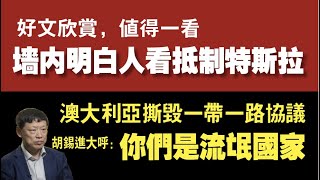 好文欣赏,墙内明白人看抵制特斯拉;澳大利亚撕毁一带一路协议,胡锡进大呼:你们是流氓国家。2021.04.21NO737#特斯拉#澳大利亚#一带一路