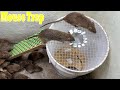 Easy mouse trap with plastic bin || Crafting the most effective mousetrap