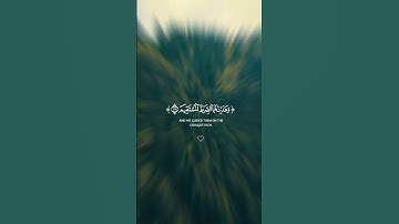 ونصرناهم فكانوا هم الغالبين واتيناهما الكتاب المبين وهديناهما الصراط المستقيم سورة الصافات