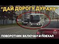 Автоподборка &quot;Дай Дорогу Дураку&quot;🚘Я же включил поворотник#399