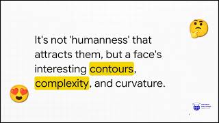 Infant Perception Cognition Explained Piagets Sensorimotor Stage How Babies See, Hear Think
