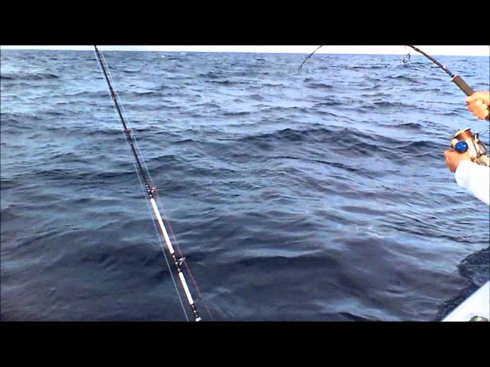 JigSkinz- A little Jigging