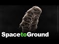 Space to Ground: Water Bears in Space: 07/16/2021