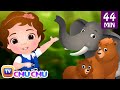 Going to the forest  wild animals for kids and more learning songs  nursery rhymes by chuchu tv