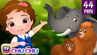 Going To the Forest | Wild Animals for Kids and More Learning Songs & Nursery Rhymes by ChuChu TV screenshot 4