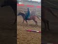 Dać part 2? #yt #horse #ytshorts #shorts #yt #fyp