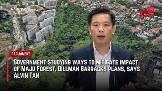 Government studying ways to mitigate impact of Maju Forest, Gillman Barracks plans, says Alvin Tan Government studying ways to mitigate impact of Maju Forest, Gillman Barracks plans, says Alvin Tan