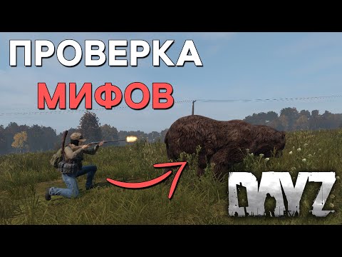 Video: Kako Odstraniti Zaostanke V DayZ