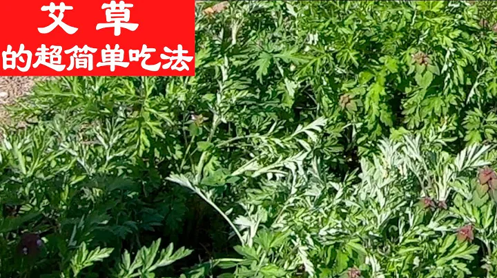The super simple way to eat wormwood (also known as women’s grass), especially fresh - 天天要闻