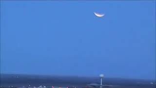 selenelion eclipse lunar (Dec 2011)