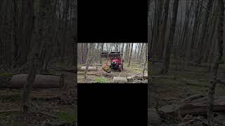 Tractor Log Tongs, Timber Grabber, Log Lifters