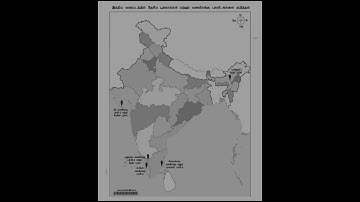 12th  Bio-Zoology Practical Answer key#2025#Part 2#Tamil Medium