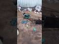 Tata Indica Vista air condition lekej full video # dangerous prosess#