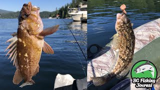 Deep Cove Fishing & Exploring - Rockfish, Greenling & Flatfish