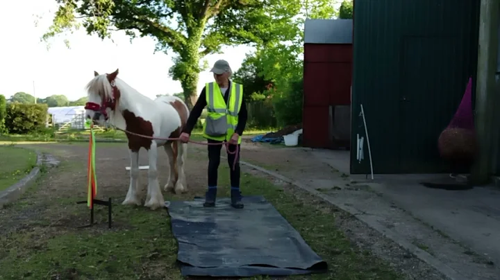 week 3 mini walks Jess