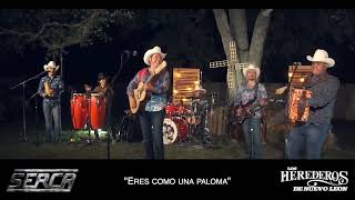 Los Herederos de Nuevo León - Eres Como Una Paloma ( Live Session )