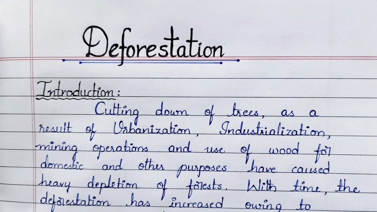 deforestation essay class 9