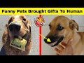 Hilarious Treasures Pet Owners Received From Their Pets